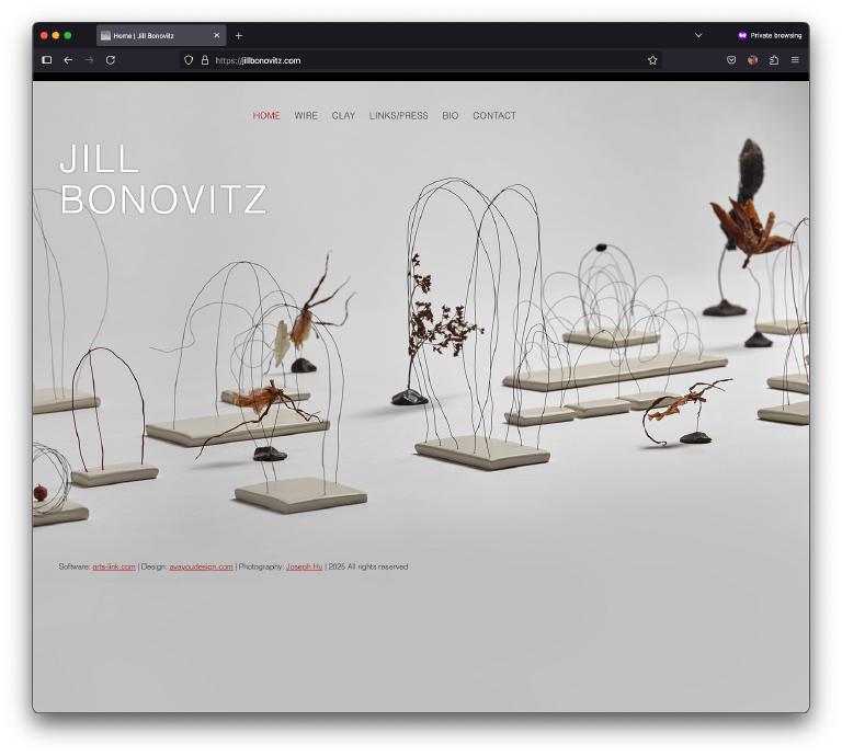 Screenshot of jillbonovitz.com